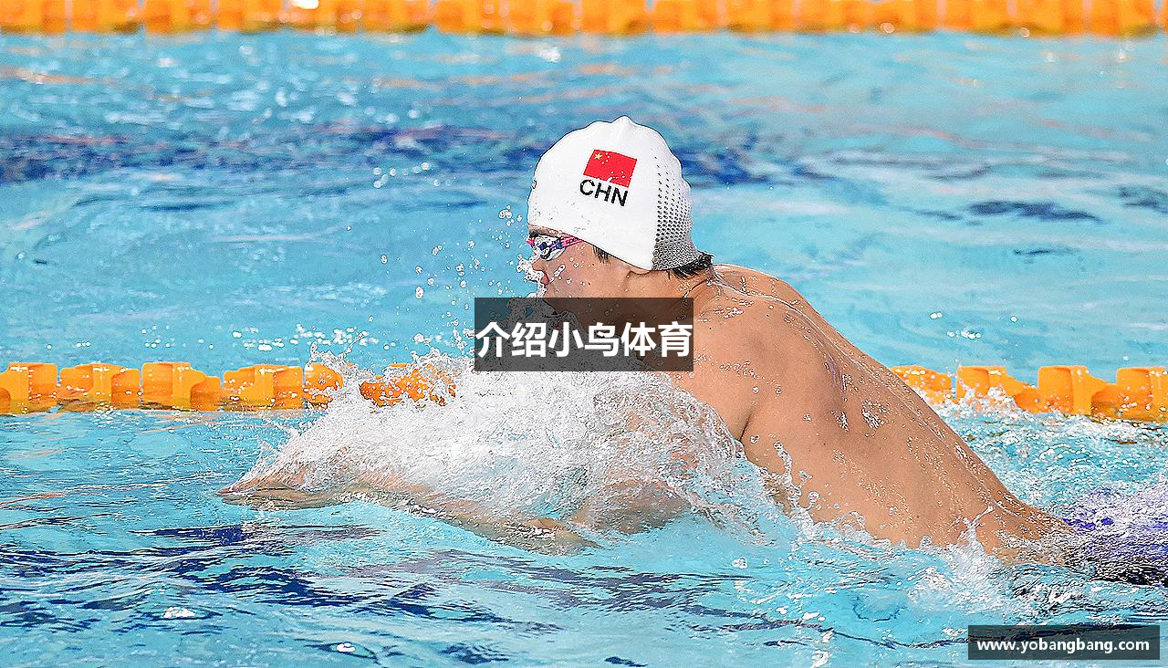 介绍小鸟体育